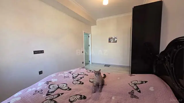 Satılır 3 otaqlı mənzil 80 m²