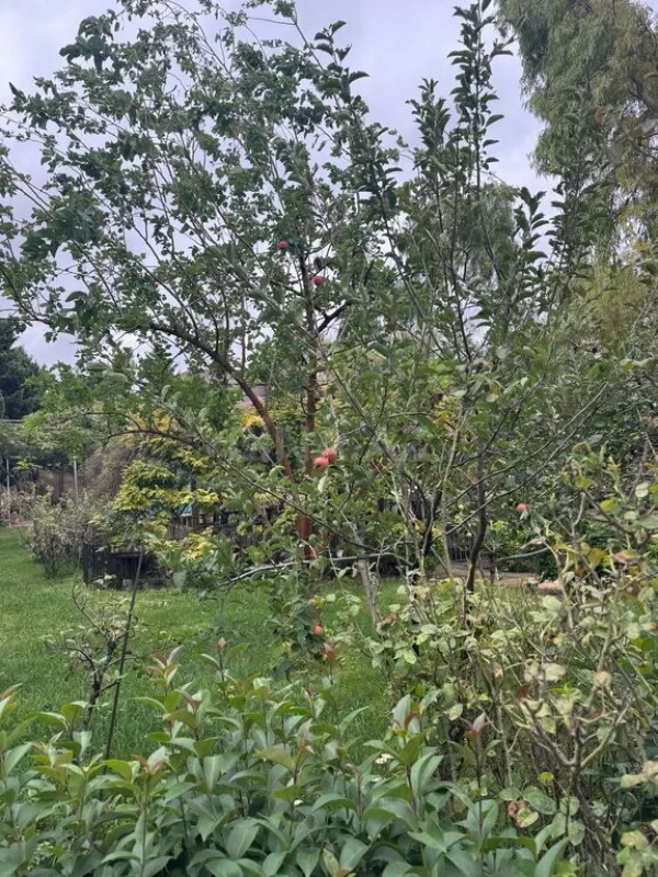 Satılır 6 otaqlı həyət evi 200 m²