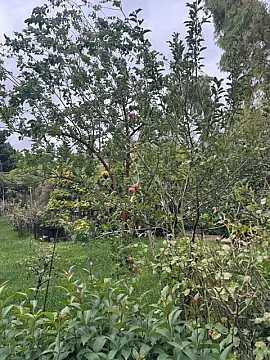 Satılır 6 otaqlı həyət evi 200 m²