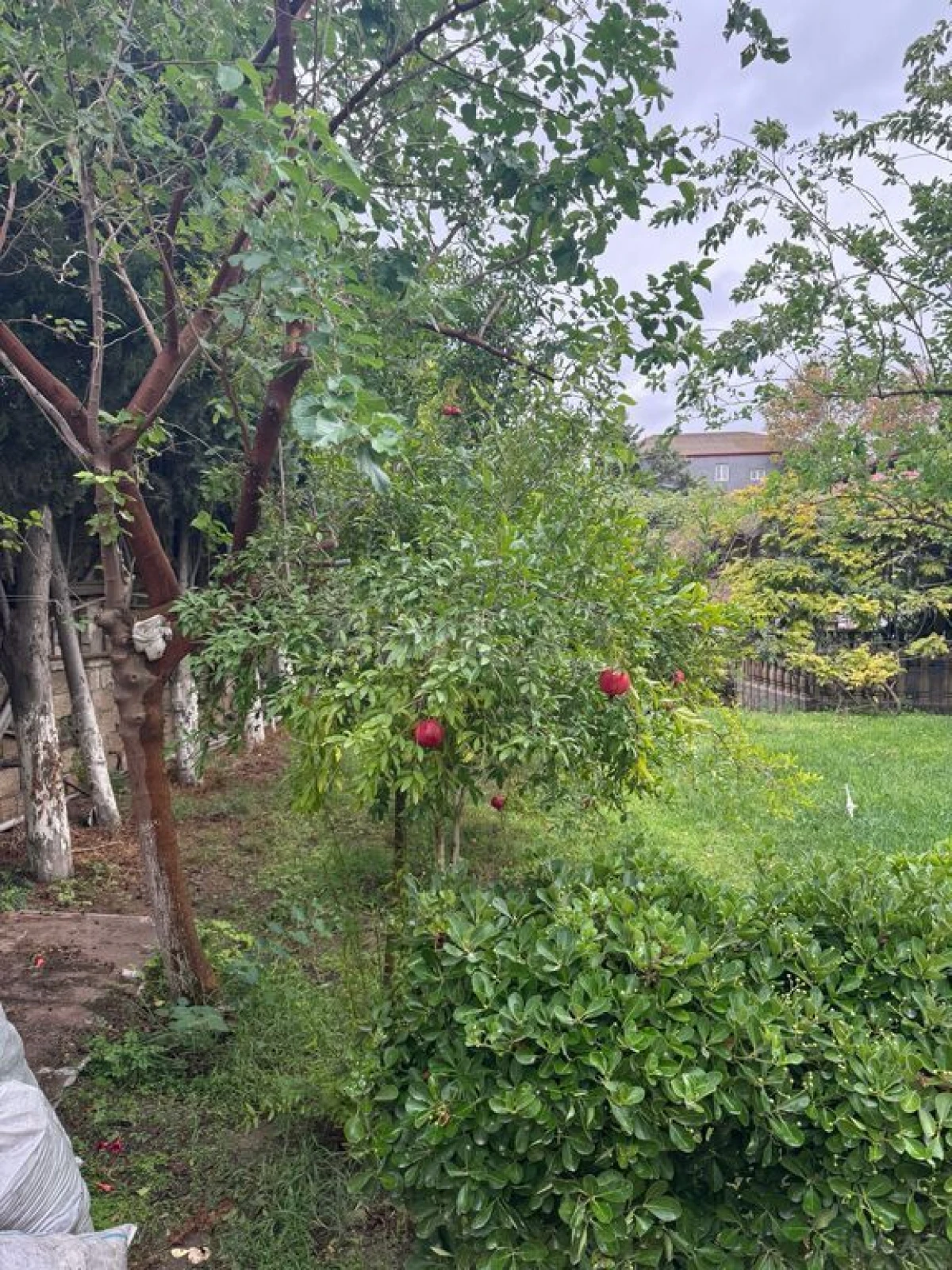 Satılır 6 otaqlı həyət evi 200 m²