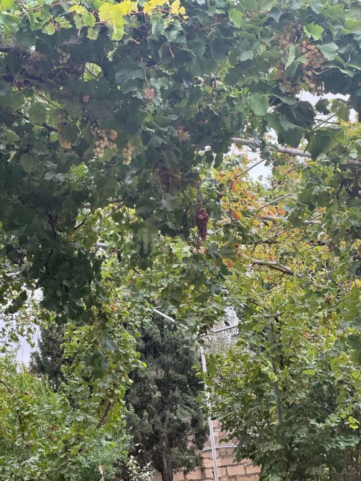 Satılır 6 otaqlı həyət evi 200 m²