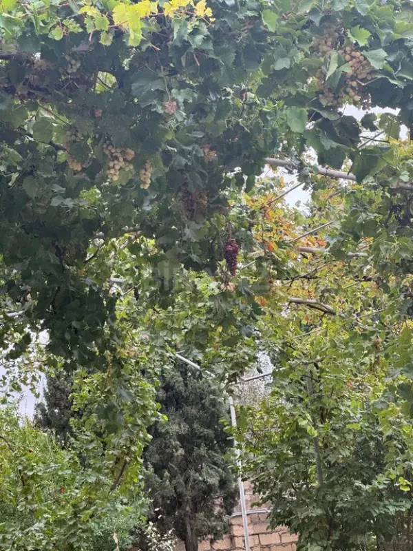 Satılır 6 otaqlı həyət evi 200 m²