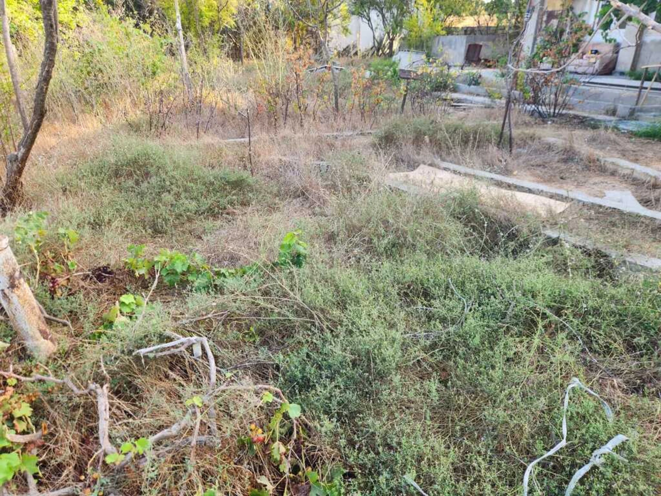 Satılır torpaq sahəsi 25 m²