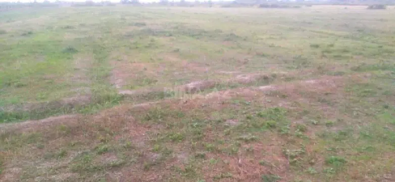 Satılır torpaq sahəsi 121 m² — Xaçmaz 121.00 m²