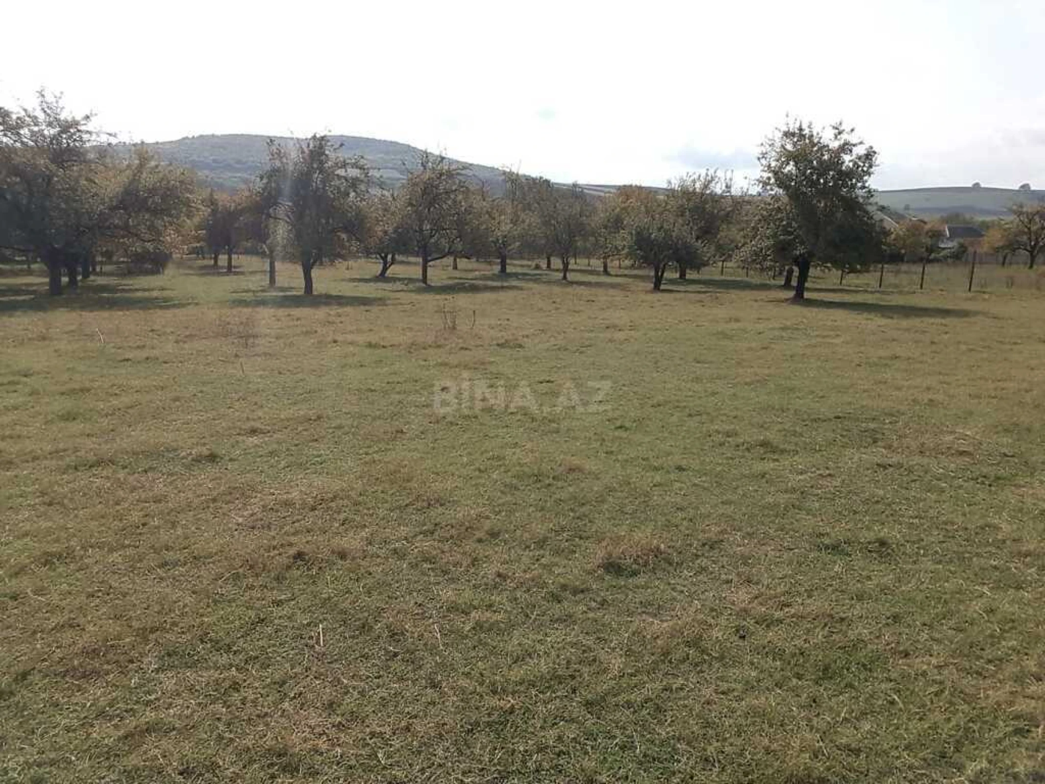 Satılır torpaq sahəsi 38 m²