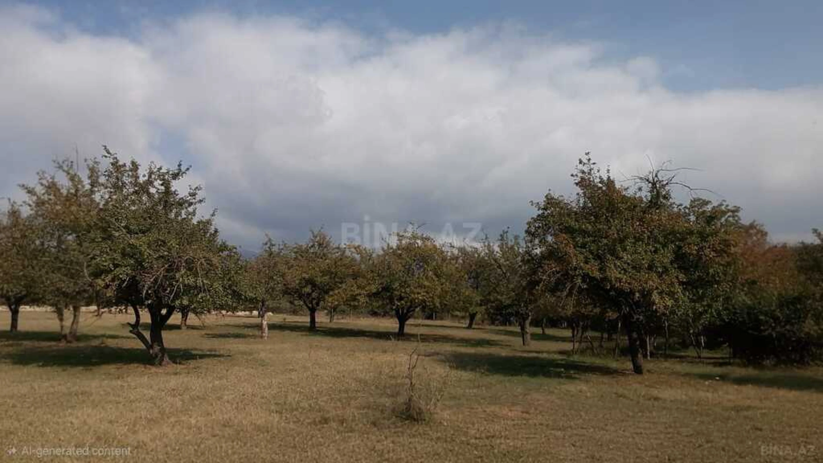 Satılır torpaq sahəsi 38 m²