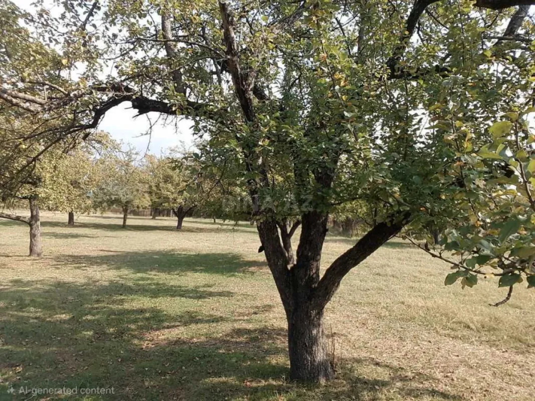 Satılır torpaq sahəsi 38 m²