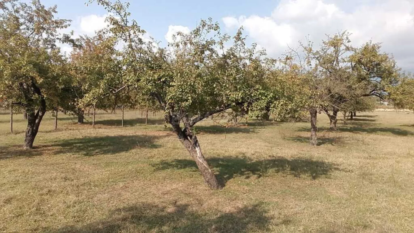 Satılır torpaq sahəsi 38 m²