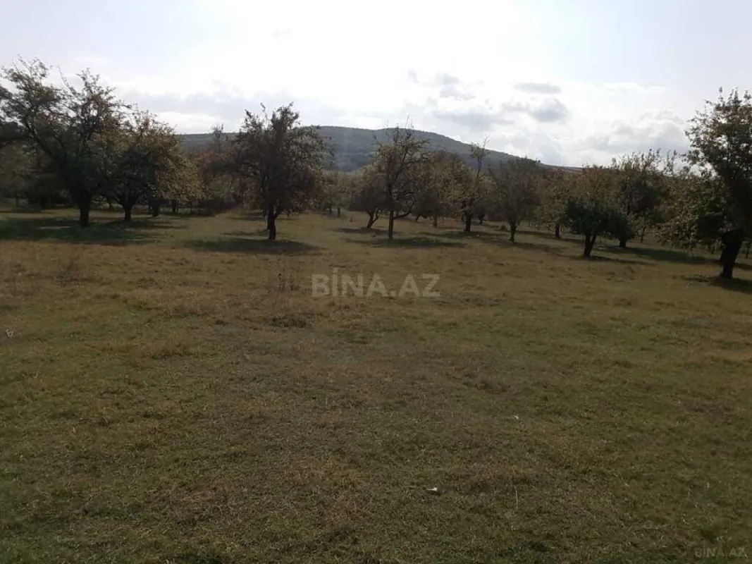 Satılır torpaq sahəsi 38 m²