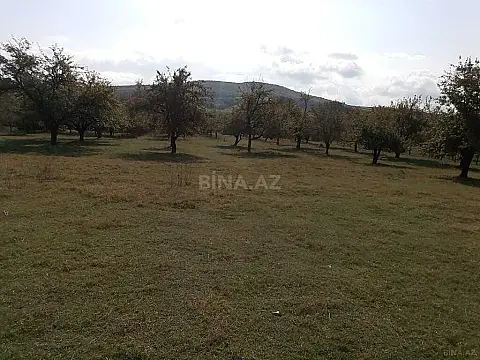 Satılır torpaq sahəsi 38 m²