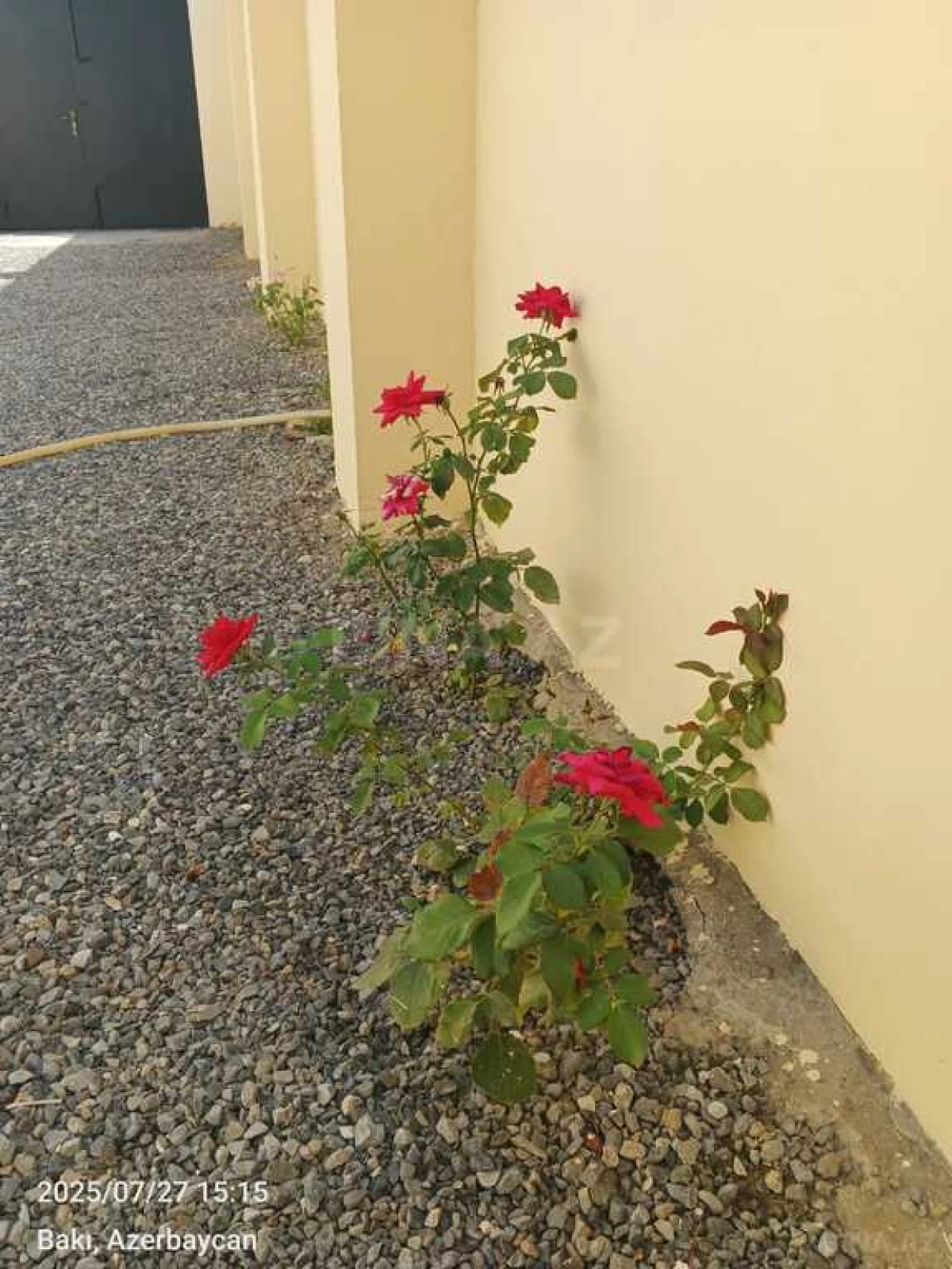 Satılır 3 otaqlı həyət evi 127 m²