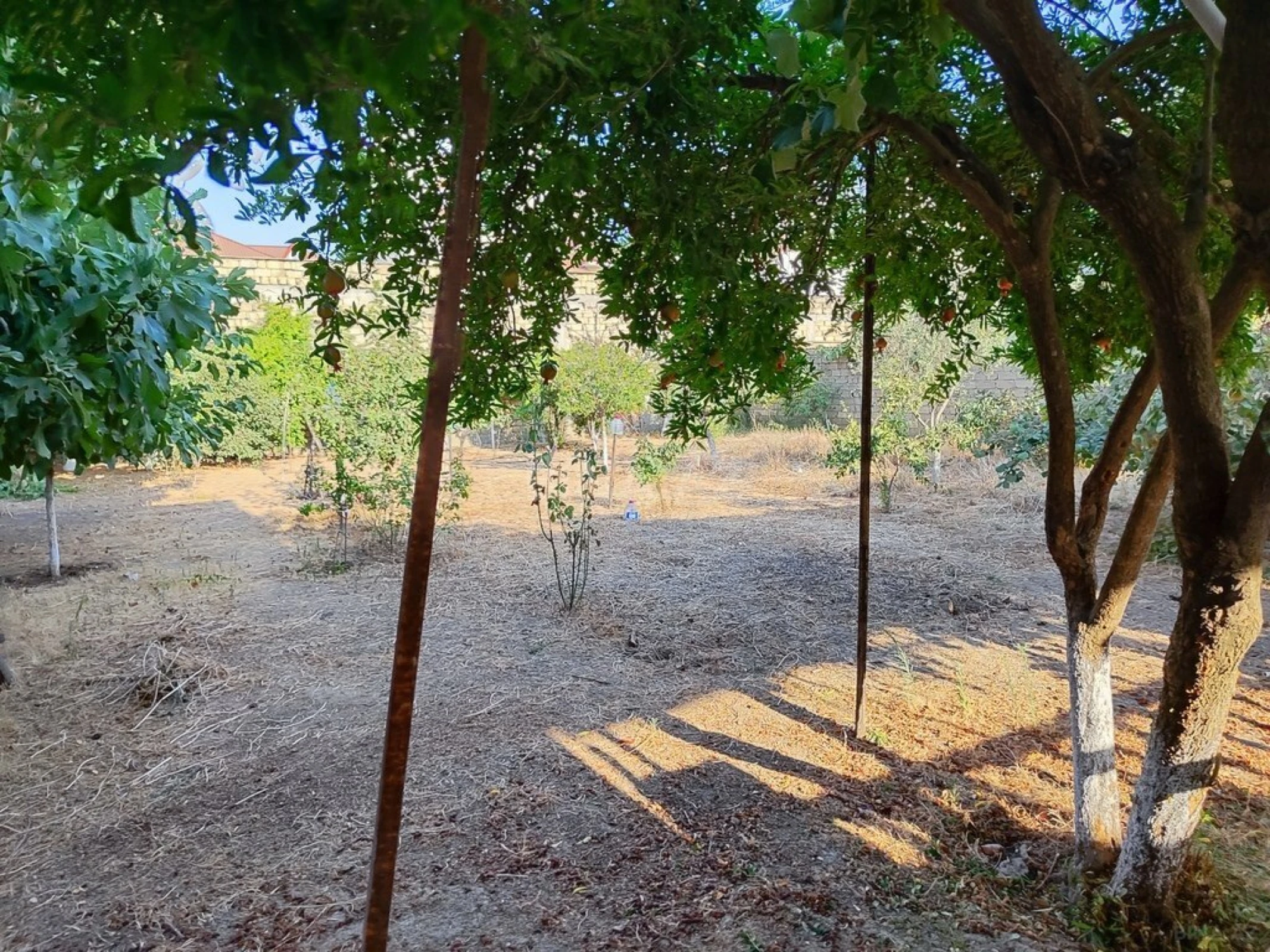 Satılır 6 otaqlı həyət evi 110 m²