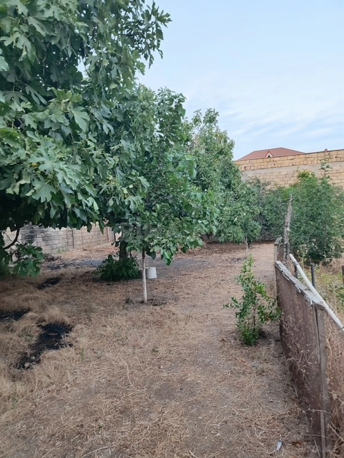 Satılır 6 otaqlı həyət evi 110 m²