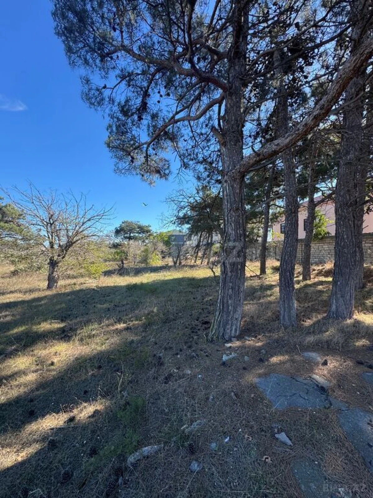 Satılır torpaq sahəsi 72.5 m²