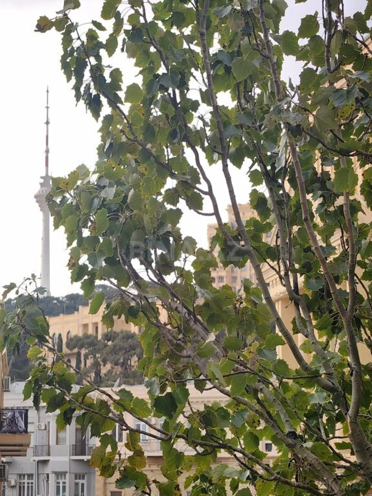 Satılır 2 otaqlı mənzil 54 m²