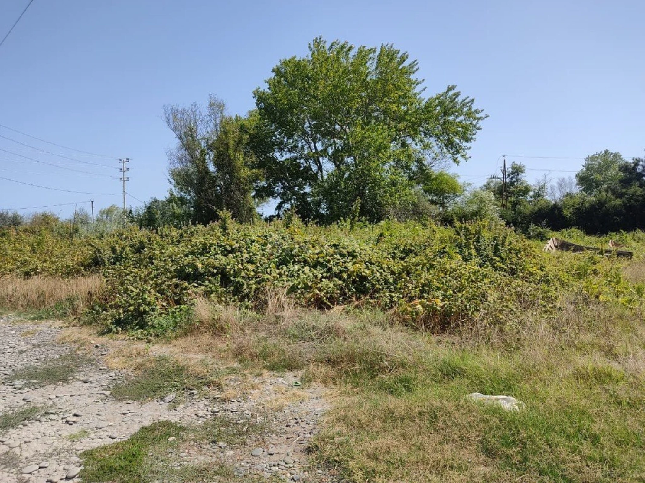 Satılır torpaq sahəsi 60 m²