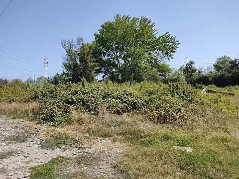 Satılır torpaq sahəsi 60 m²