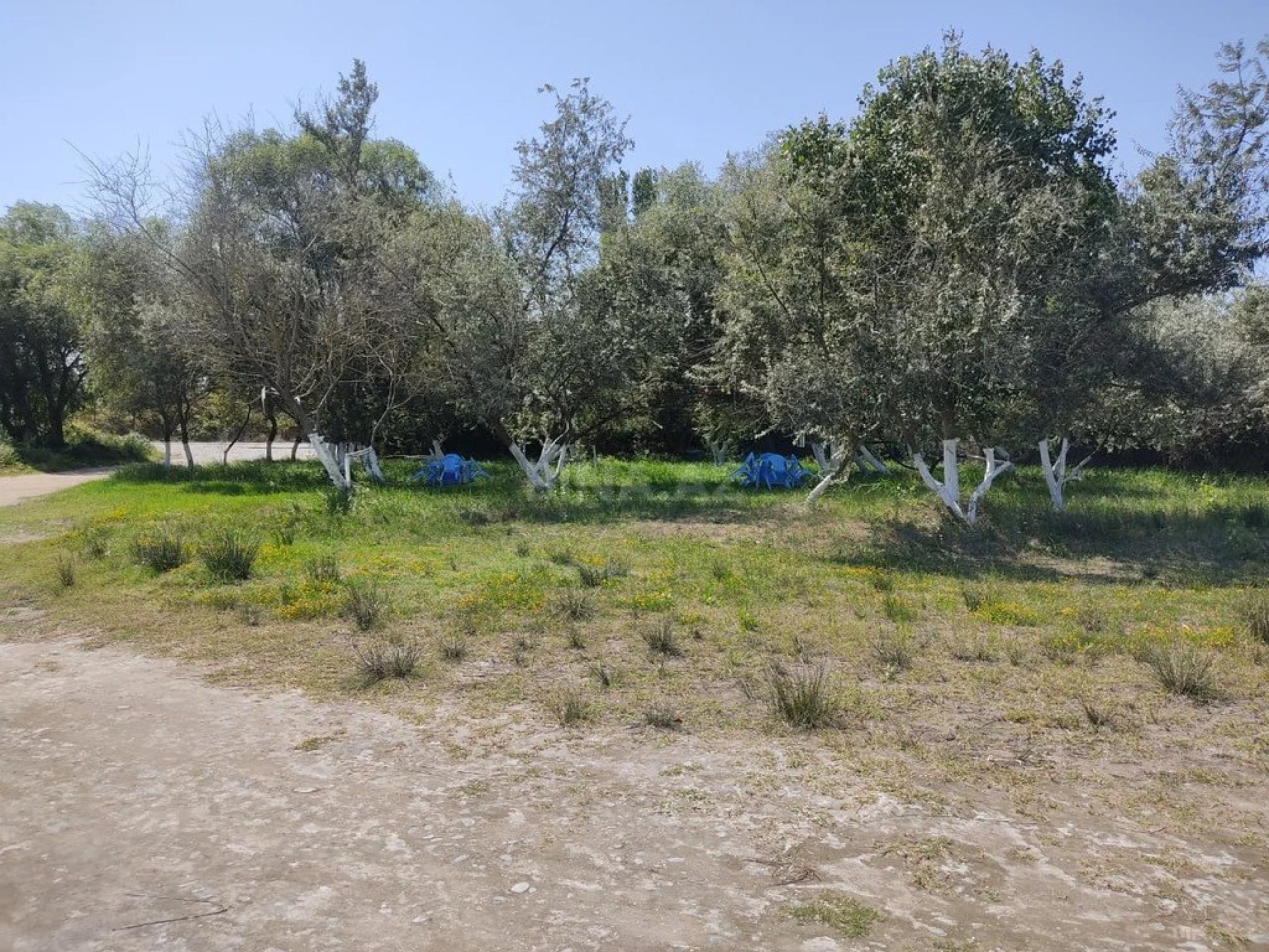 Satılır torpaq sahəsi 60 m²