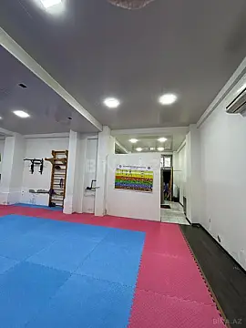 Satılır obyekt 220 m²