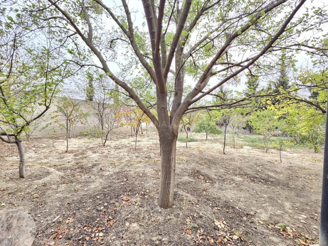 Satılır 5 otaqlı həyət evi 190 m²