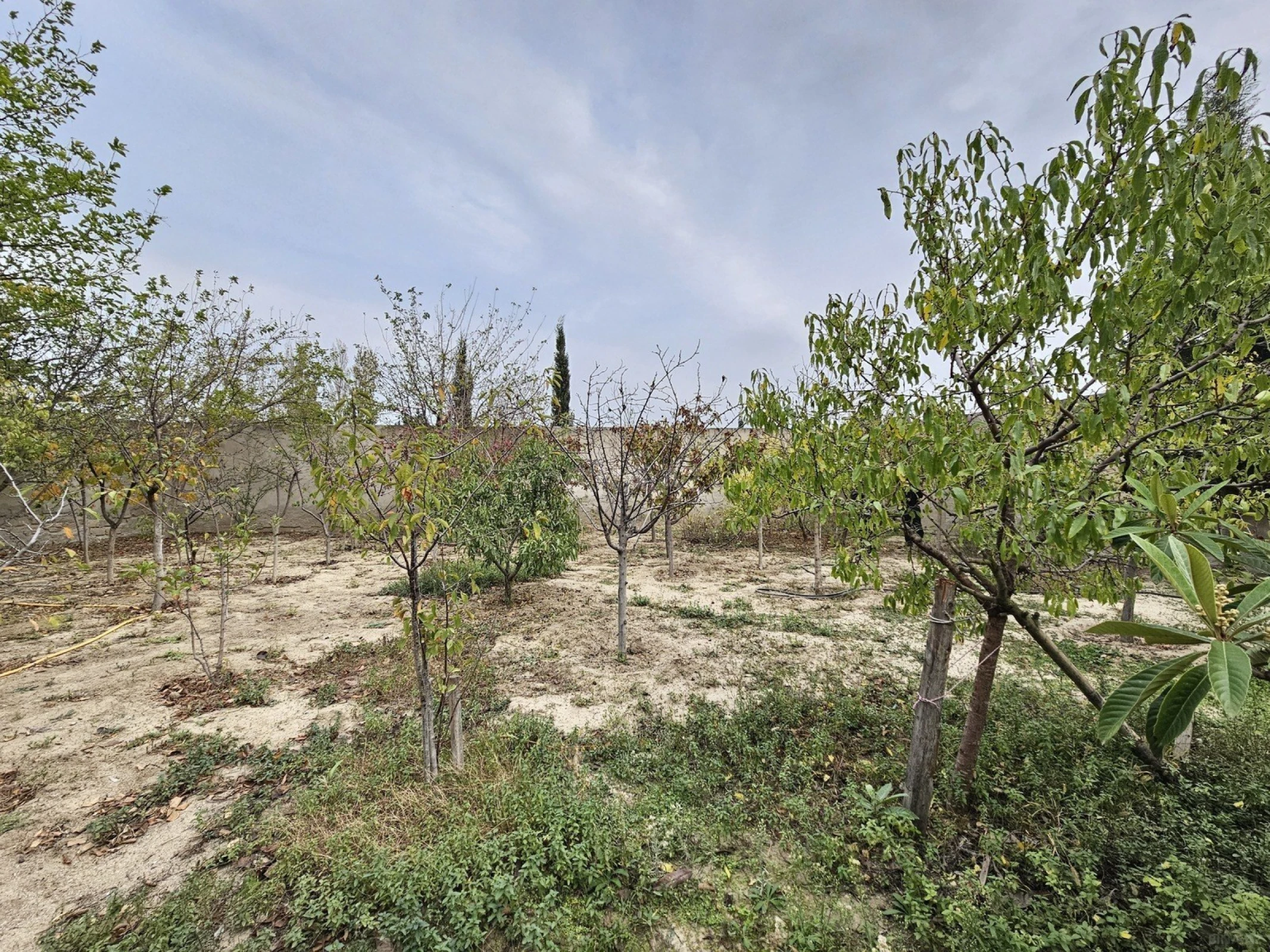 Satılır 5 otaqlı həyət evi 190 m²