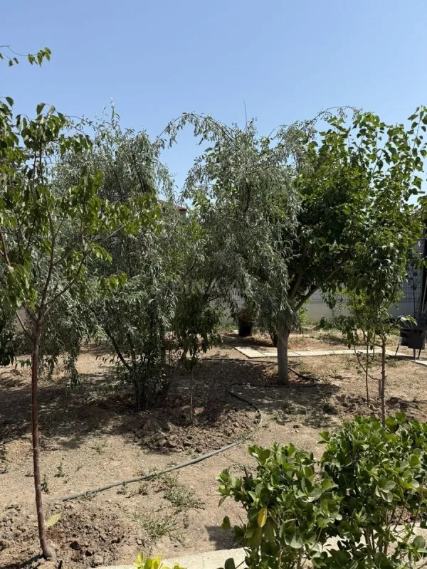 Satılır torpaq sahəsi 17 m²