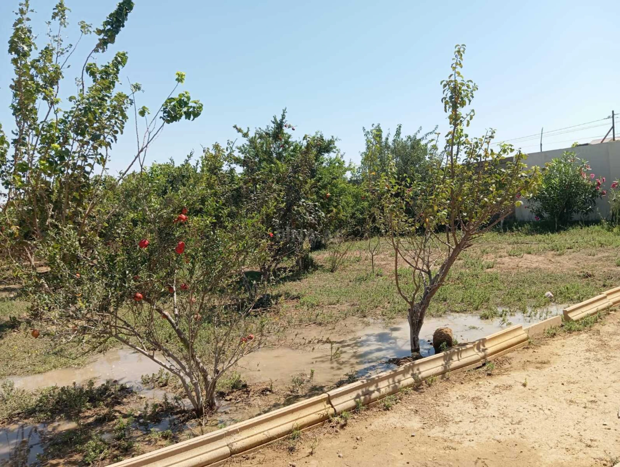 Satılır 4 otaqlı həyət evi 135 m²