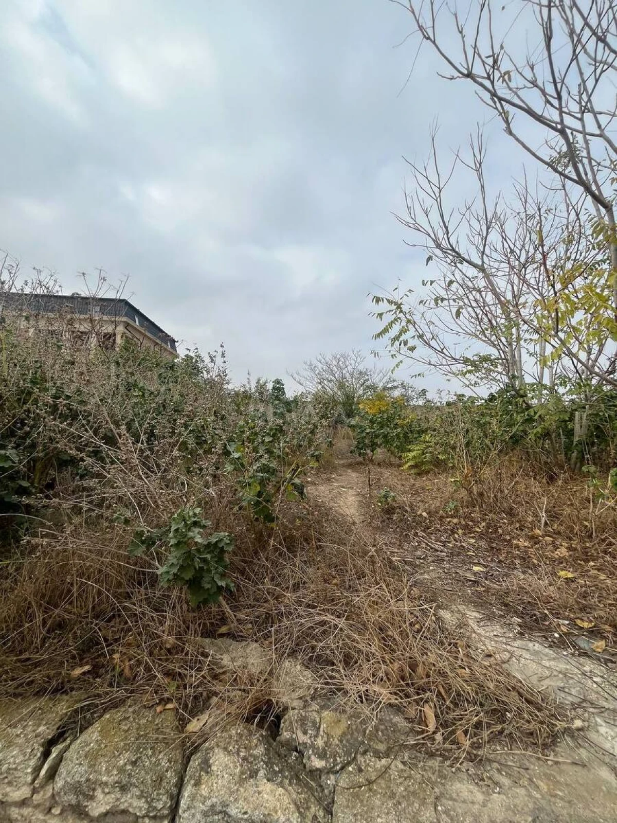 Satılır torpaq sahəsi 12 m²