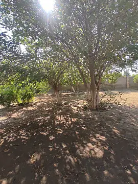 Satılır torpaq sahəsi 3.6 m²