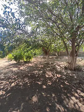 Satılır torpaq sahəsi 4 m² — Bakı, Görədil 4.00 m²