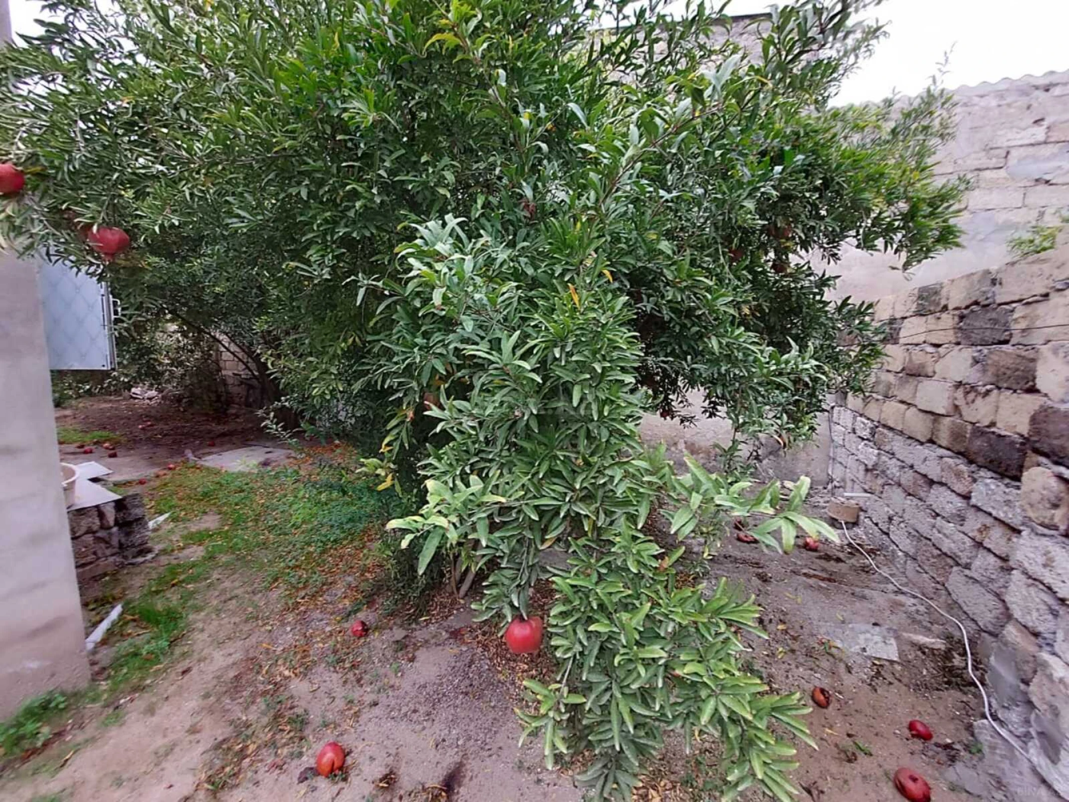 Satılır 5 otaqlı həyət evi 120 m²