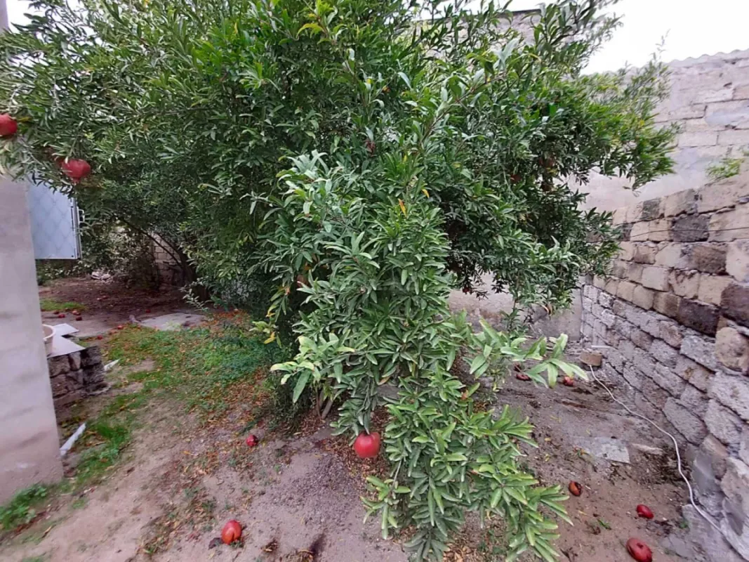 Satılır 5 otaqlı həyət evi 120 m²