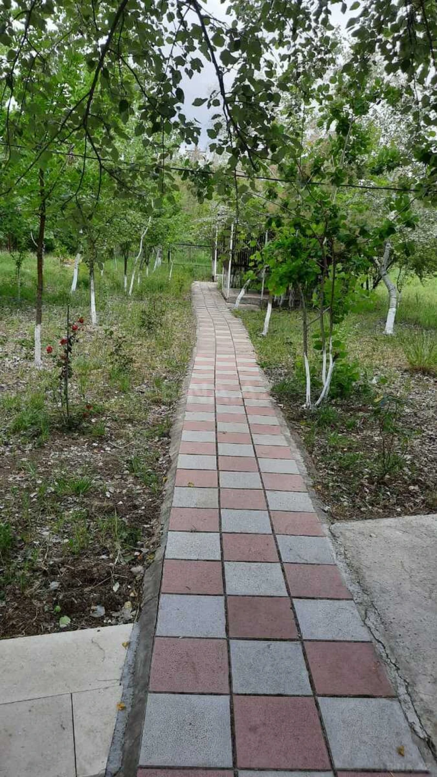 Satılır obyekt 600 m²