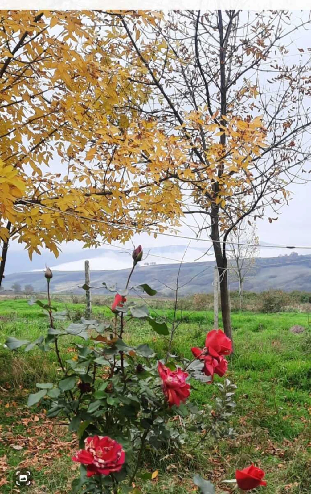 Satılır obyekt 600 m²