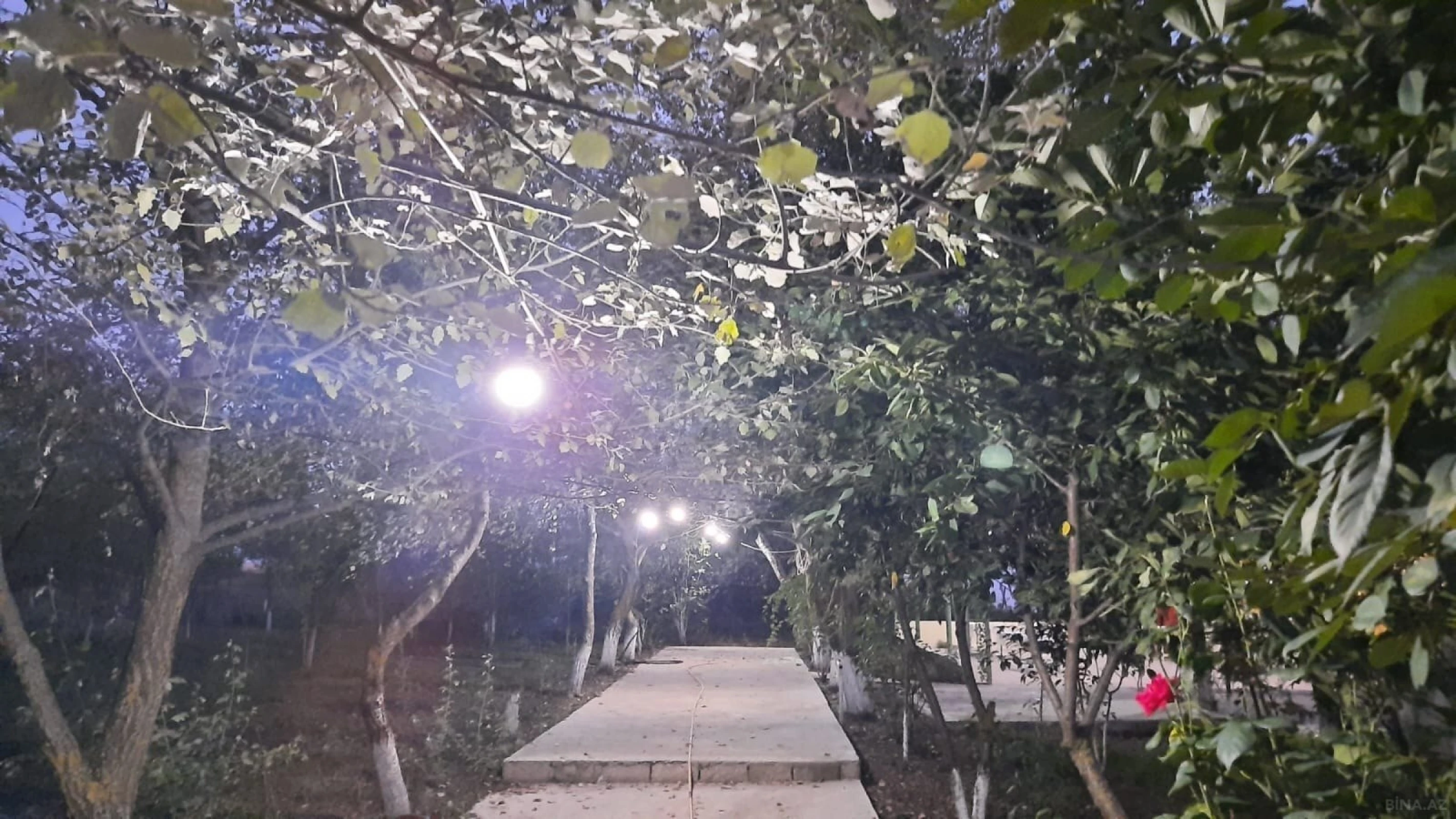 Satılır obyekt 600 m²