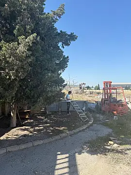 Satılır torpaq sahəsi 160 m²