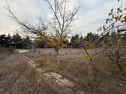 Satılır torpaq sahəsi 24 m²