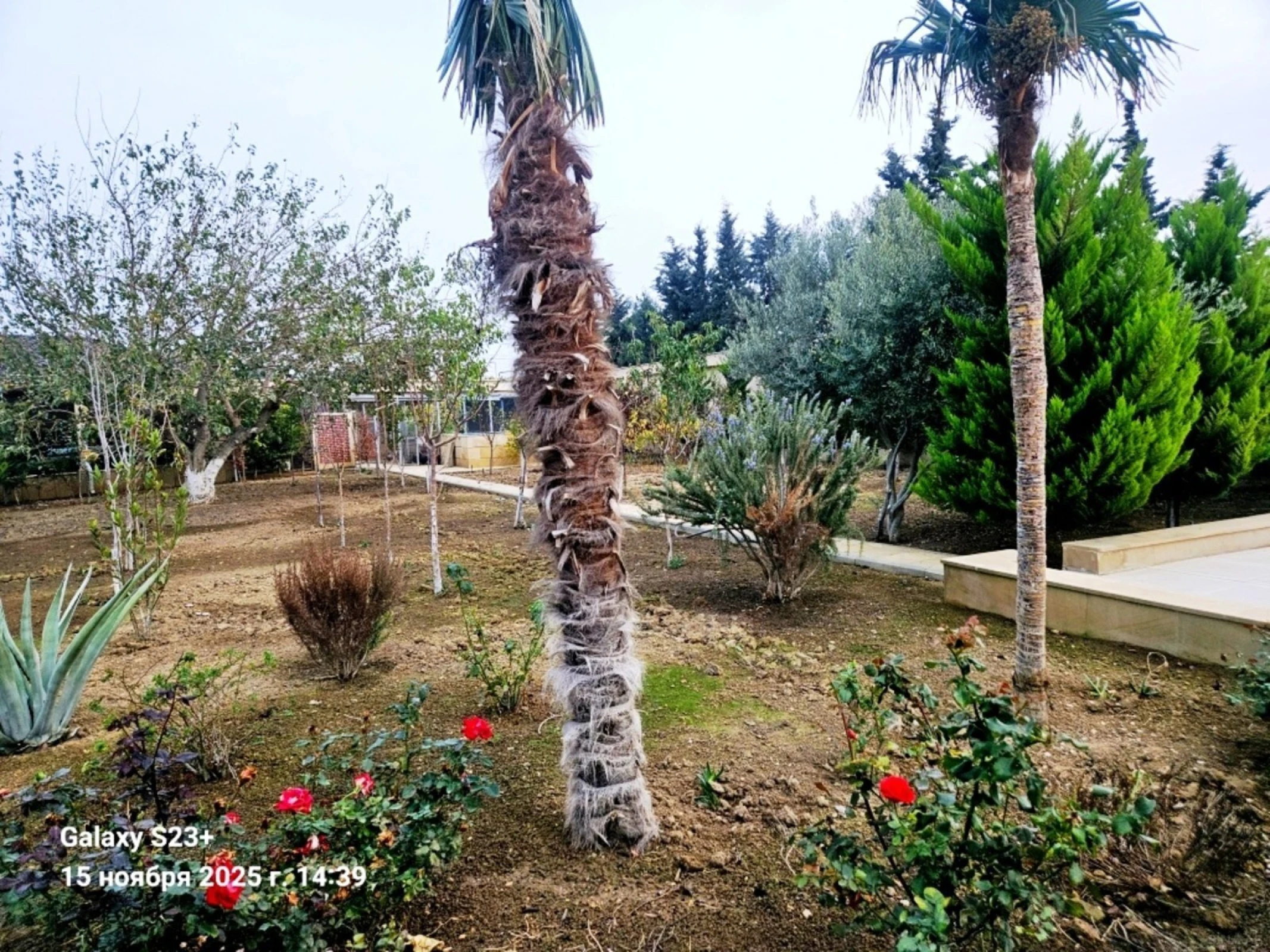 Satılır 6 otaqlı həyət evi 400 m²