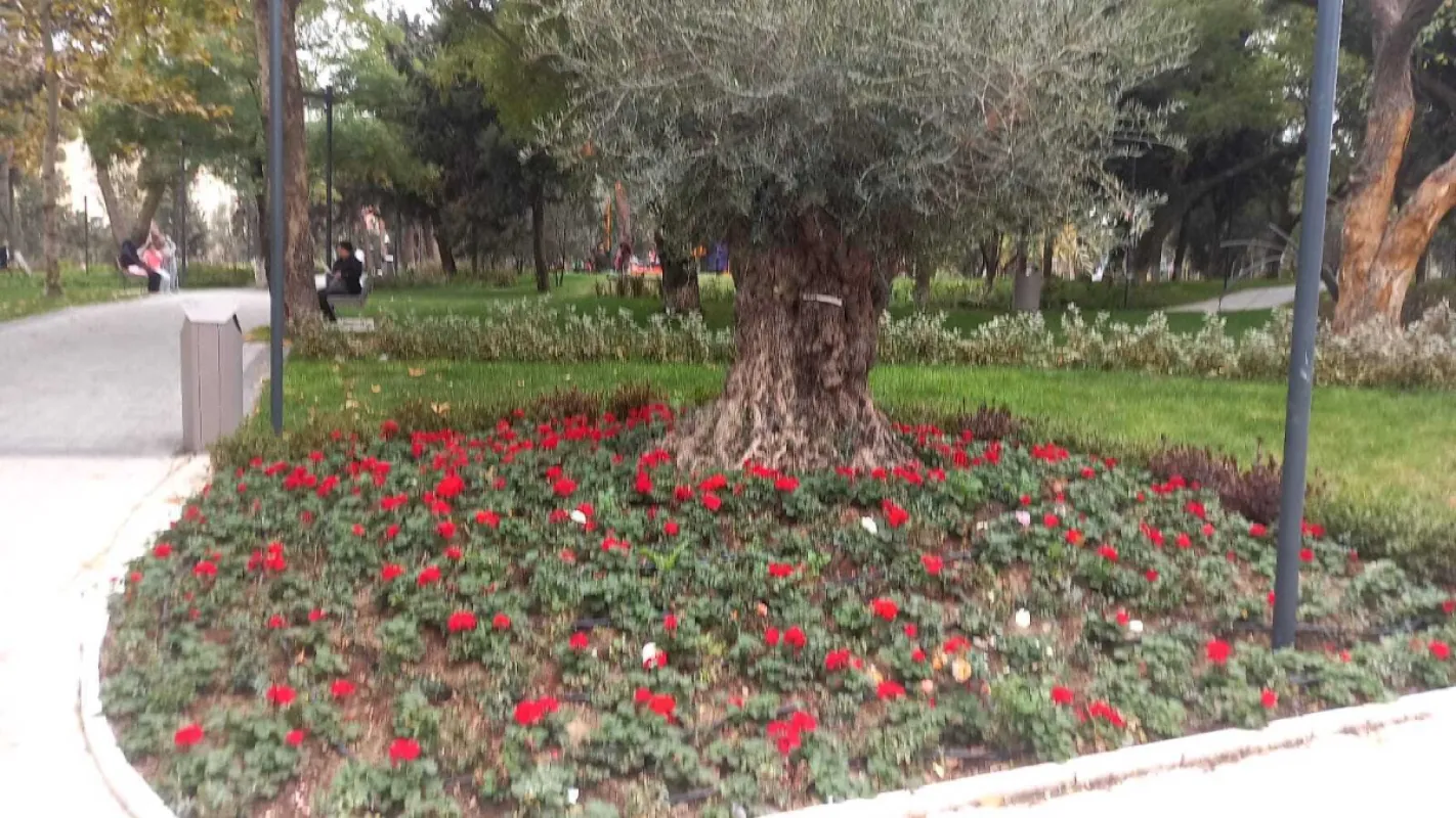 Satılır 3 otaqlı mənzil 145 m²