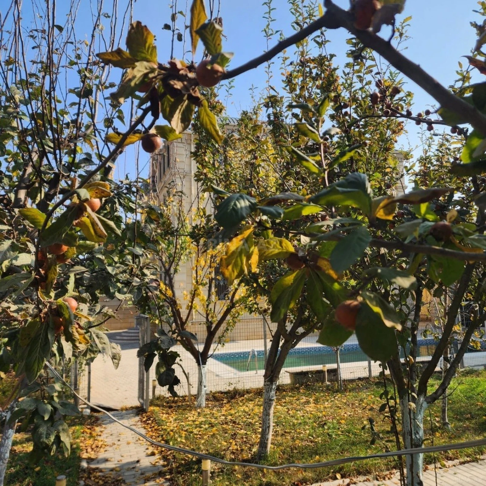 Satılır 10 otaqlı həyət evi 700 m²