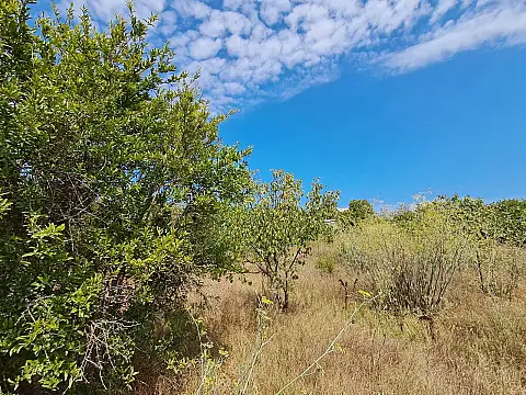 Satılır torpaq sahəsi 12.6 m² — Bakı, Nardaran 12.60 m²