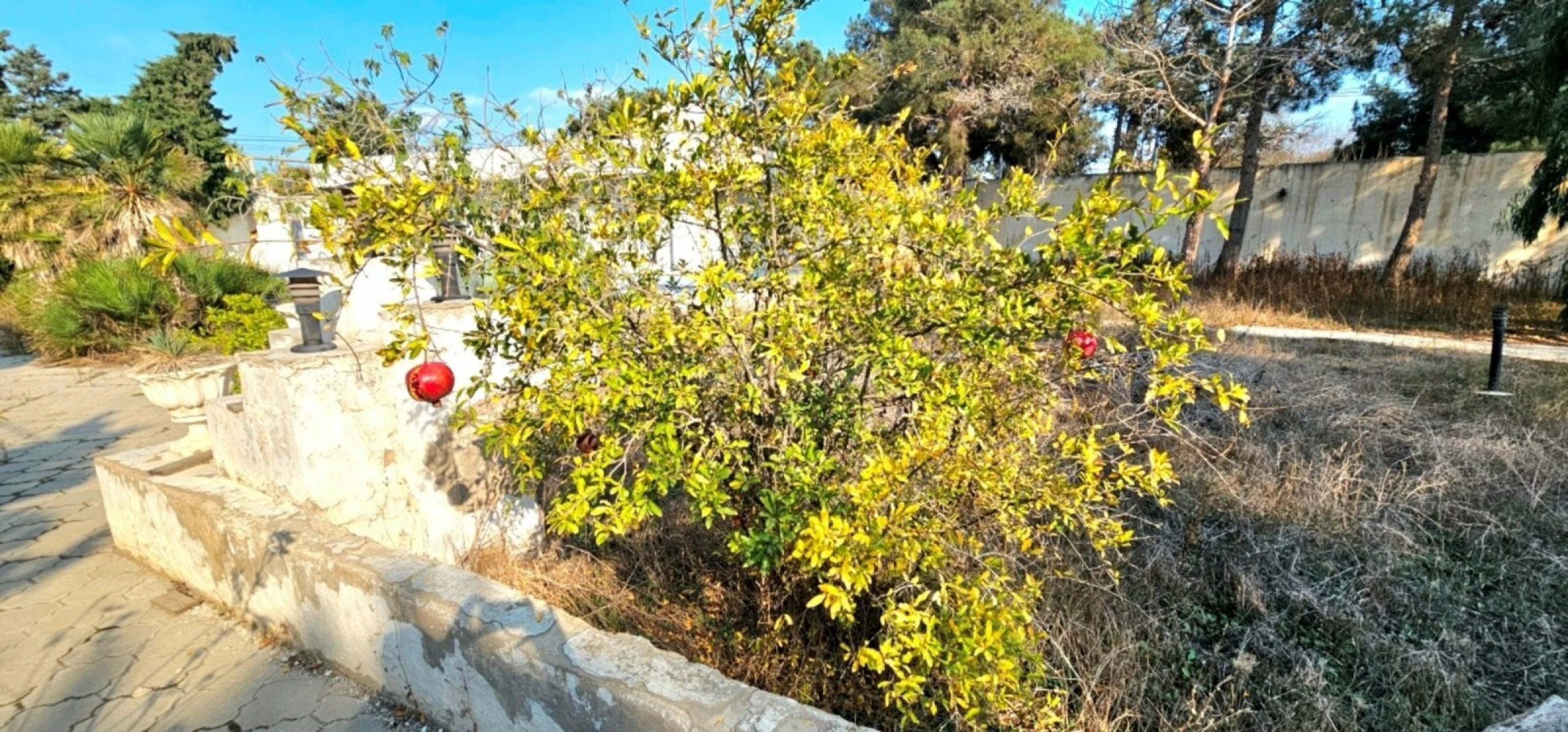 Satılır torpaq sahəsi 18 m²