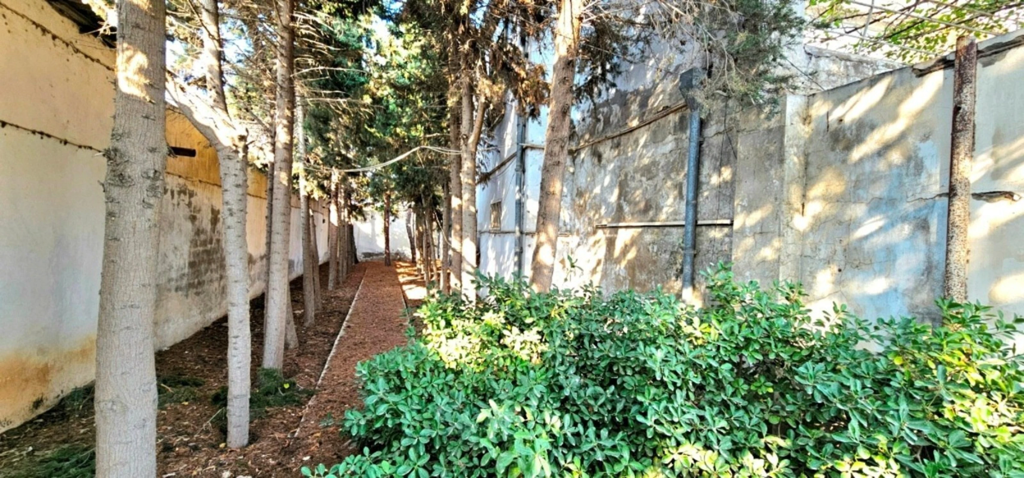 Satılır 5 otaqlı həyət evi 265 m²