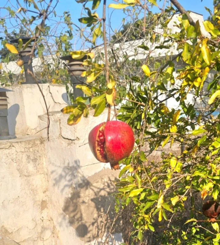 Satılır 5 otaqlı həyət evi 265 m²