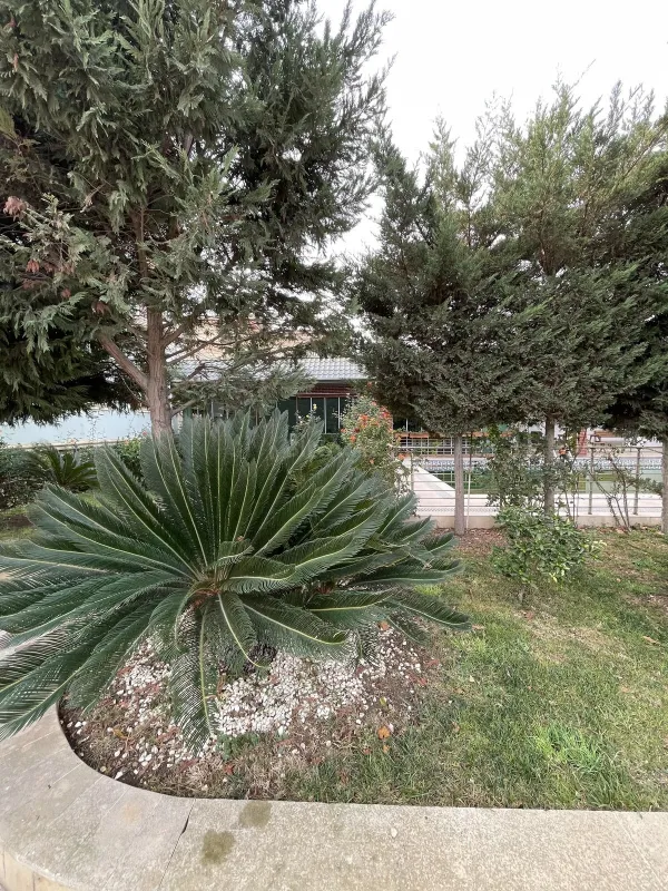 Satılır 7 otaqlı həyət evi 380 m²