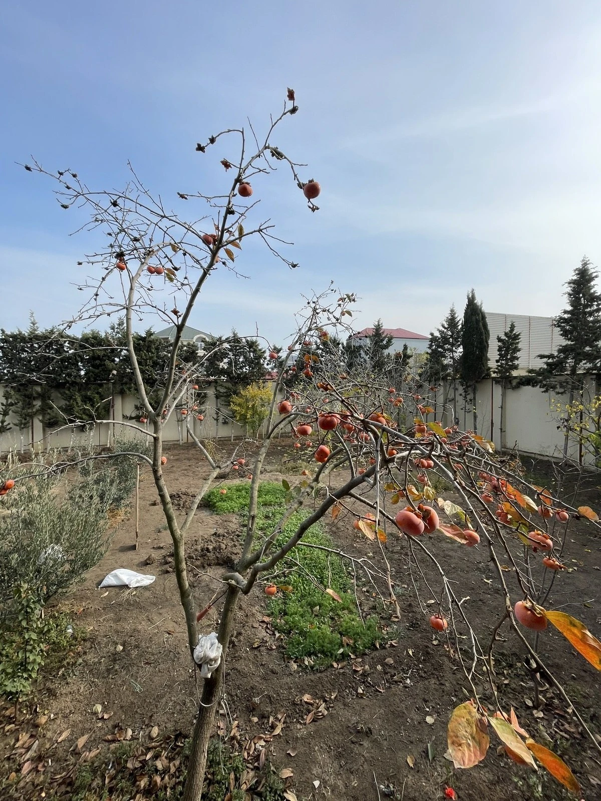 Satılır 7 otaqlı həyət evi 380 m²