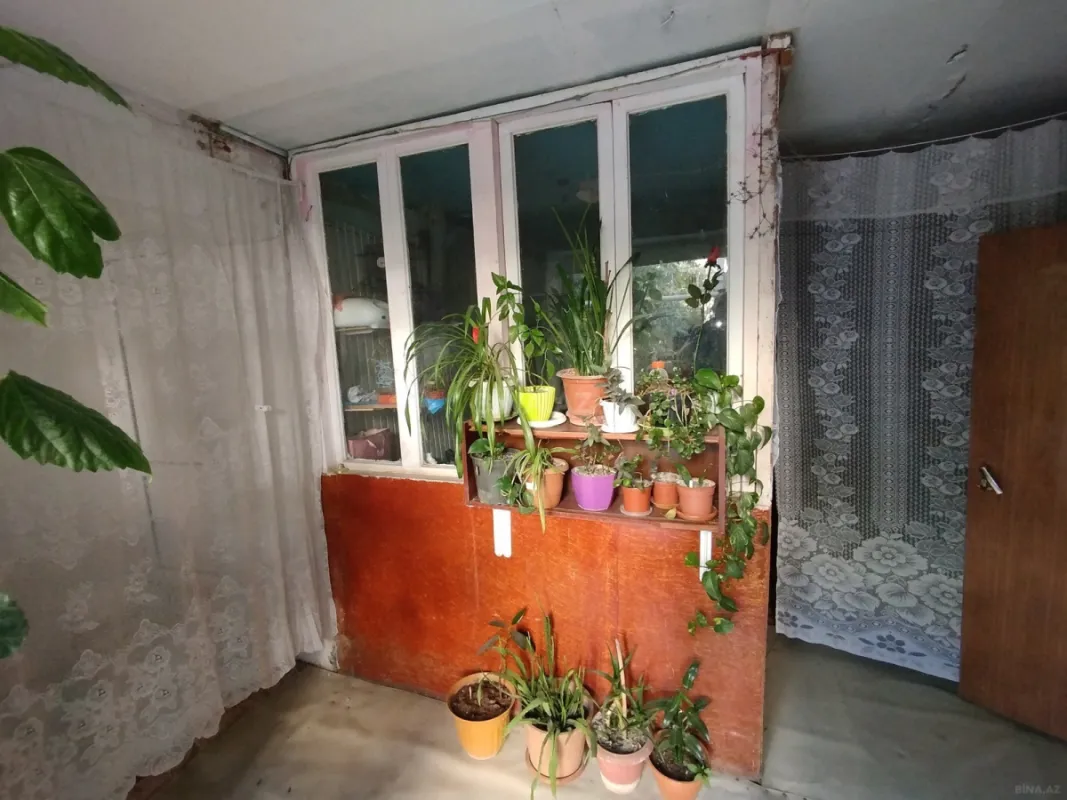 Satılır obyekt 237 m²