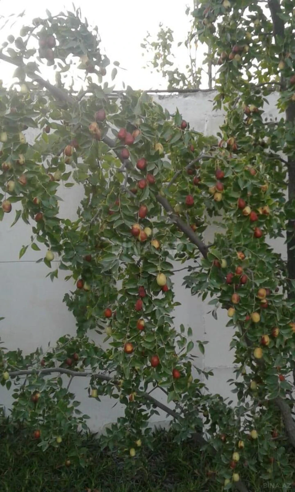 Satılır 5 otaqlı həyət evi 200 m²