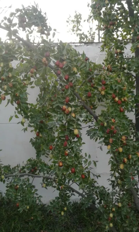 Satılır 5 otaqlı həyət evi 200 m²