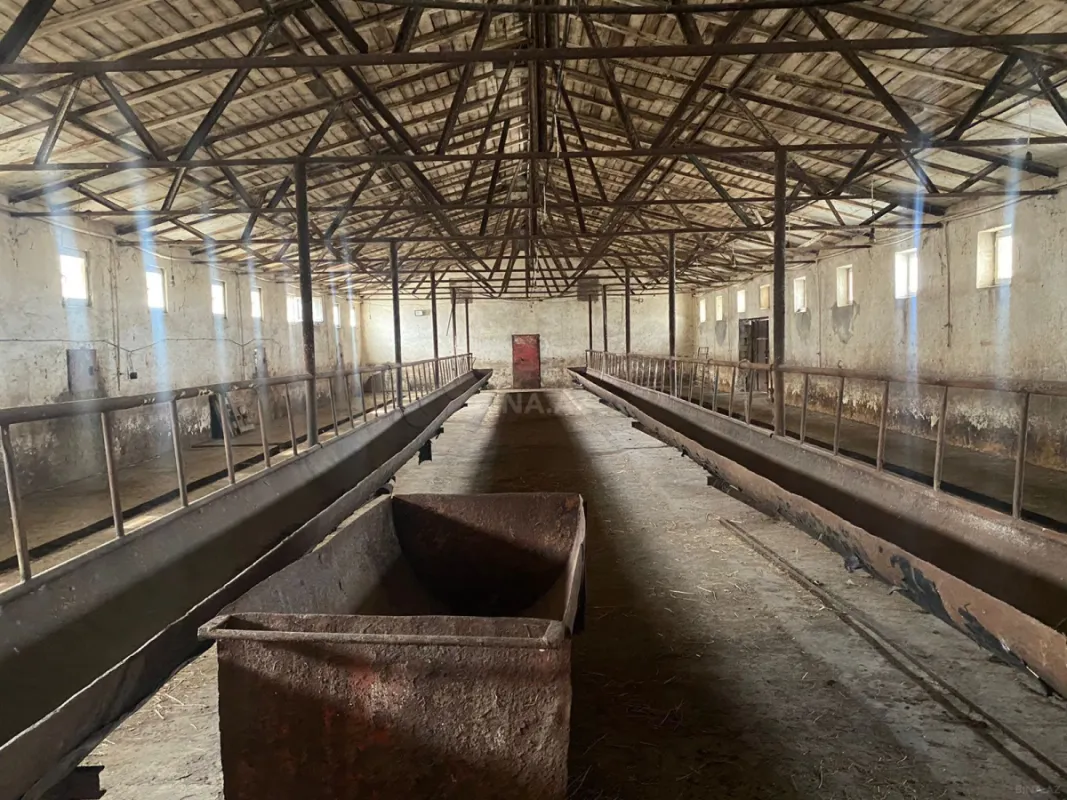 Satılır obyekt 3000 m²